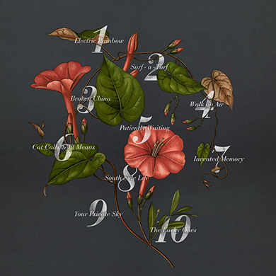 Minus The Bear - Lost Loves